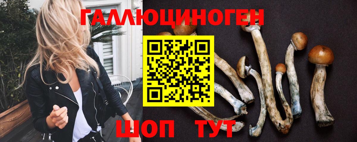 Псилоцибиновые грибы Psilocybine cubensis Шали