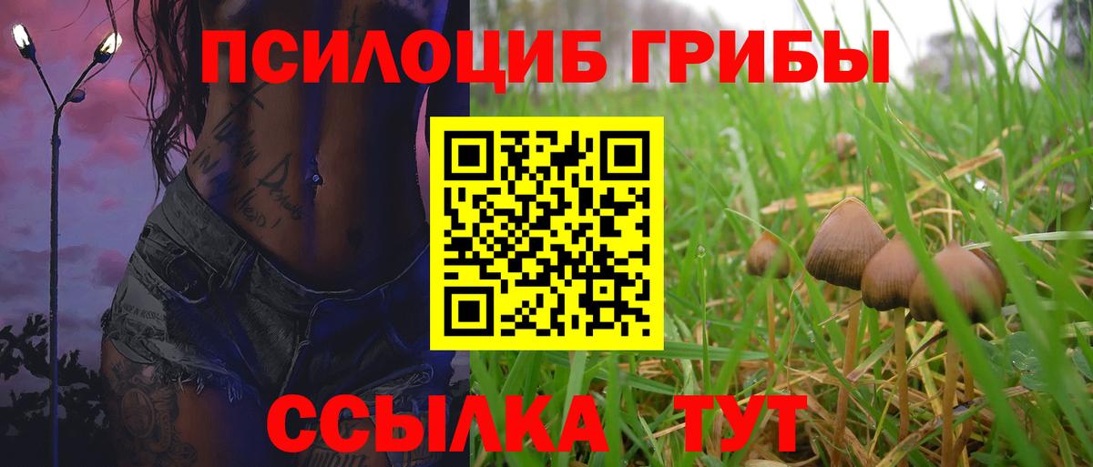 Шали  Псилоцибиновые грибы Cubensis  Вход с VPN  Галлюциногенные грибы Magic Shrooms 
