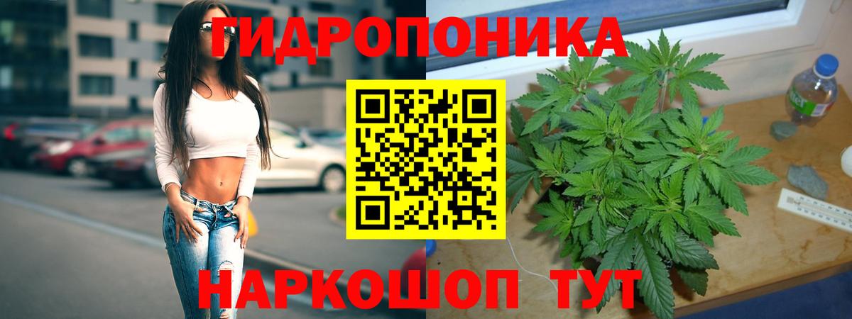 Шишки марихуана семена  Конопля SATIVA & INDICA  Вход с VPN  Бошки марихуана Bruce Banner  Шали 